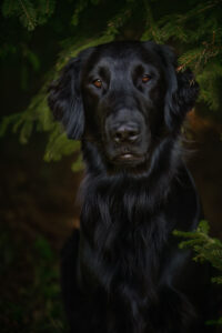 SarahLioraL CamillaNyberg Portrett 7609 200x300