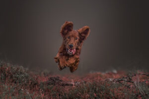 sarahlioral heleneuldalen sjarm action 6923