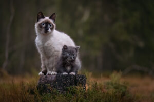 SarahLioraL Oktober2025 Sofus 1682 300x200