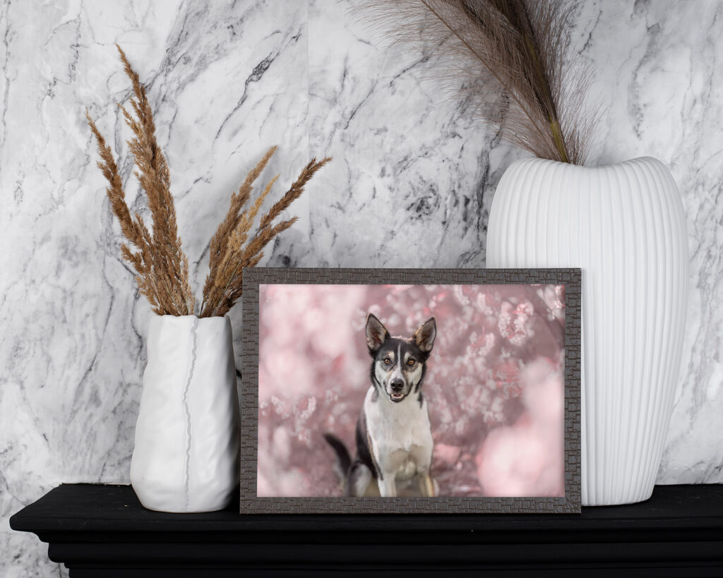 kundemockup kommode raven