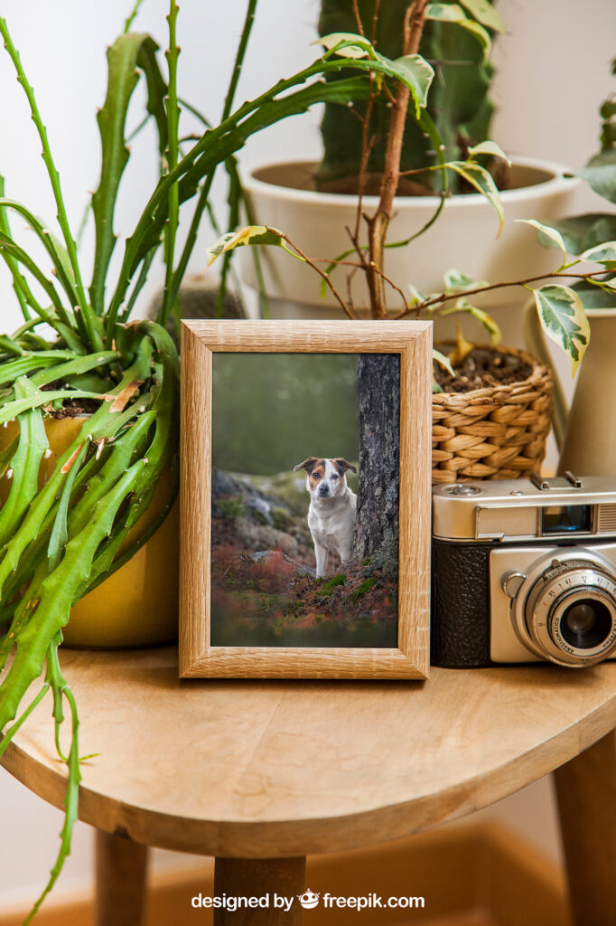 kundemockups bordbilde terrier skygge