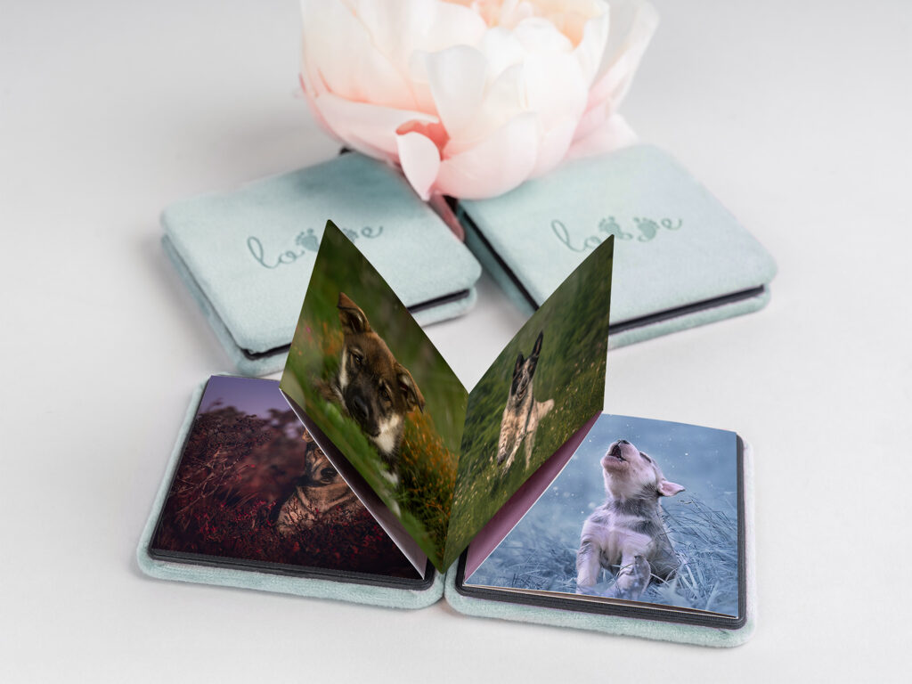 accordion mini book v11 mockup 2 en