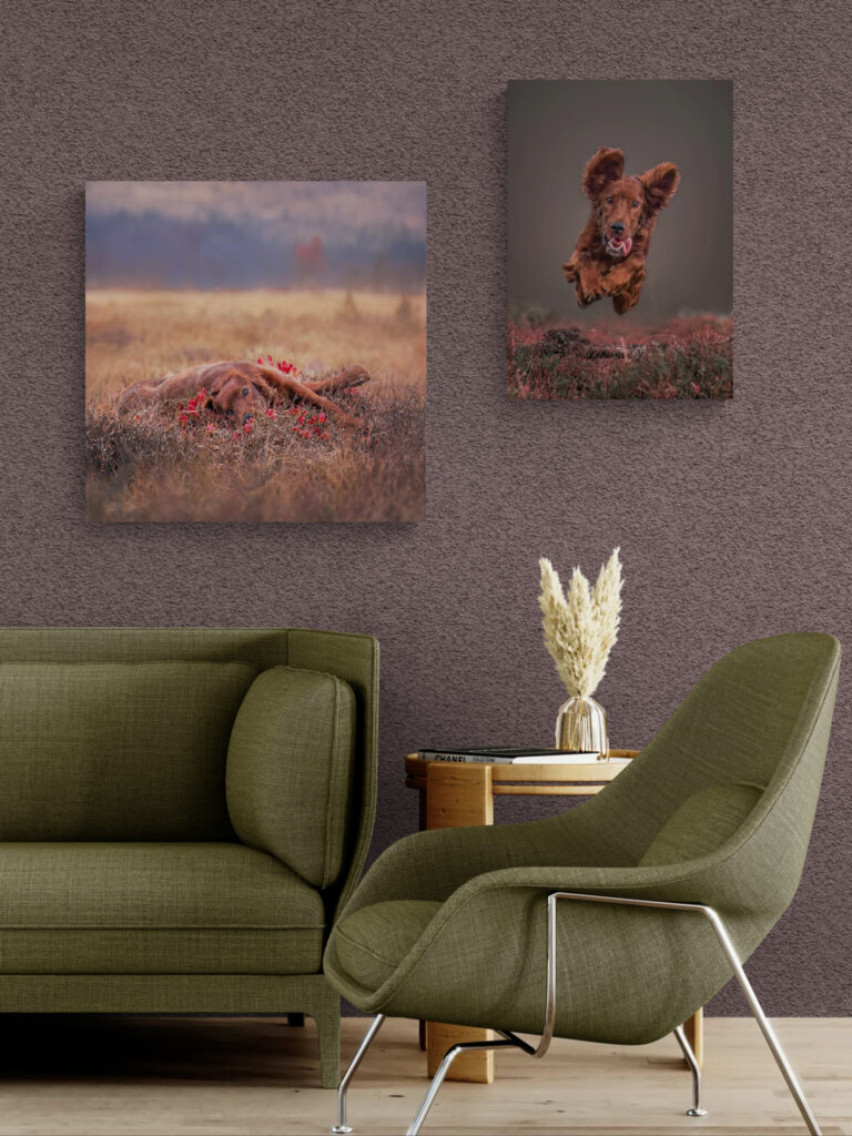 bright lounge with a comfy sofa and armchair 2026 08 23 14 23