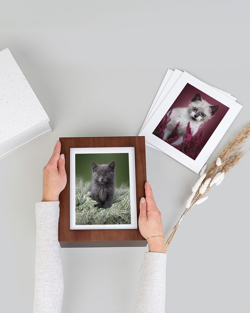 premium folio box mockup en 5